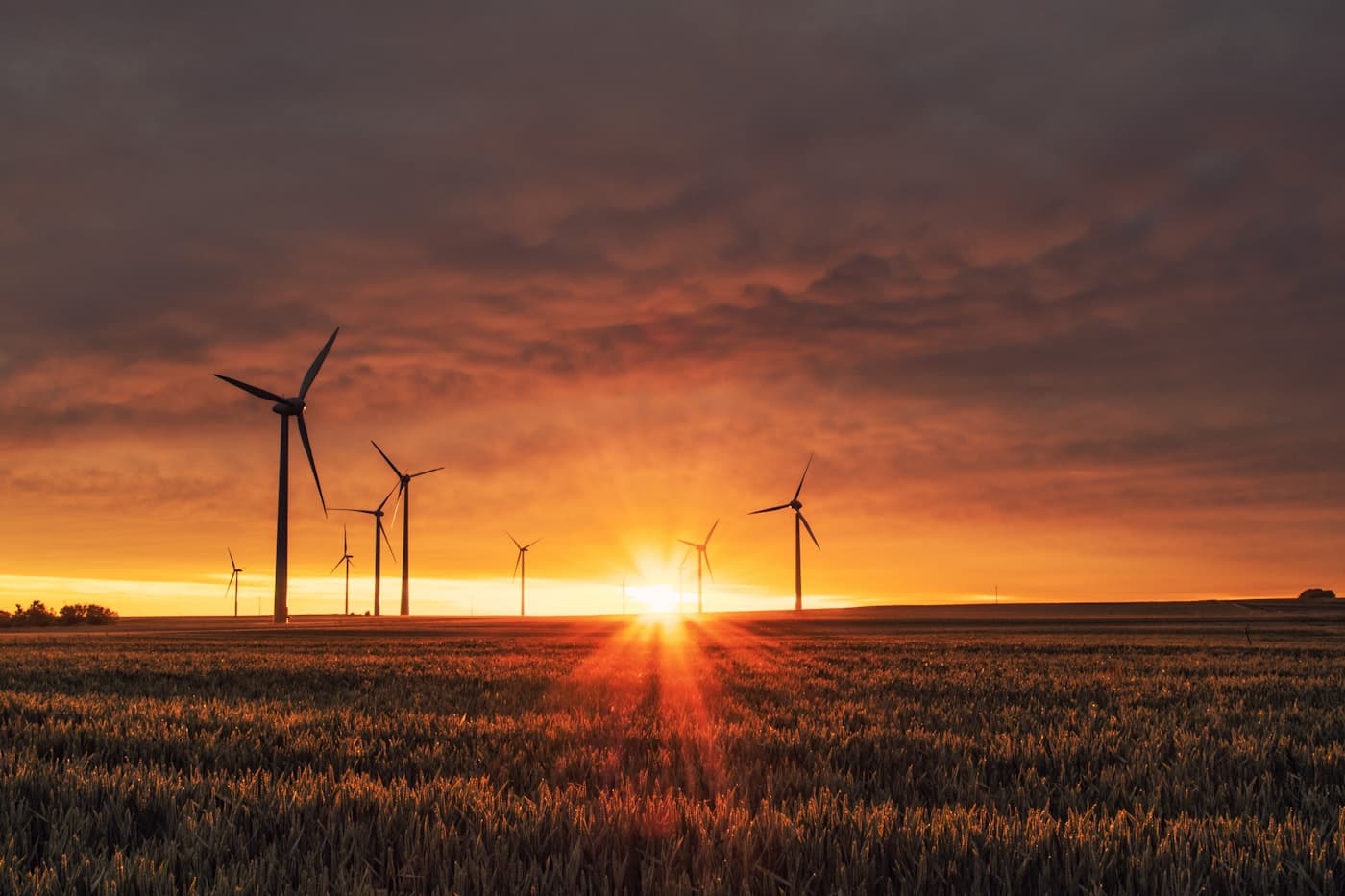 Wind turbines generating power across a field at sunset